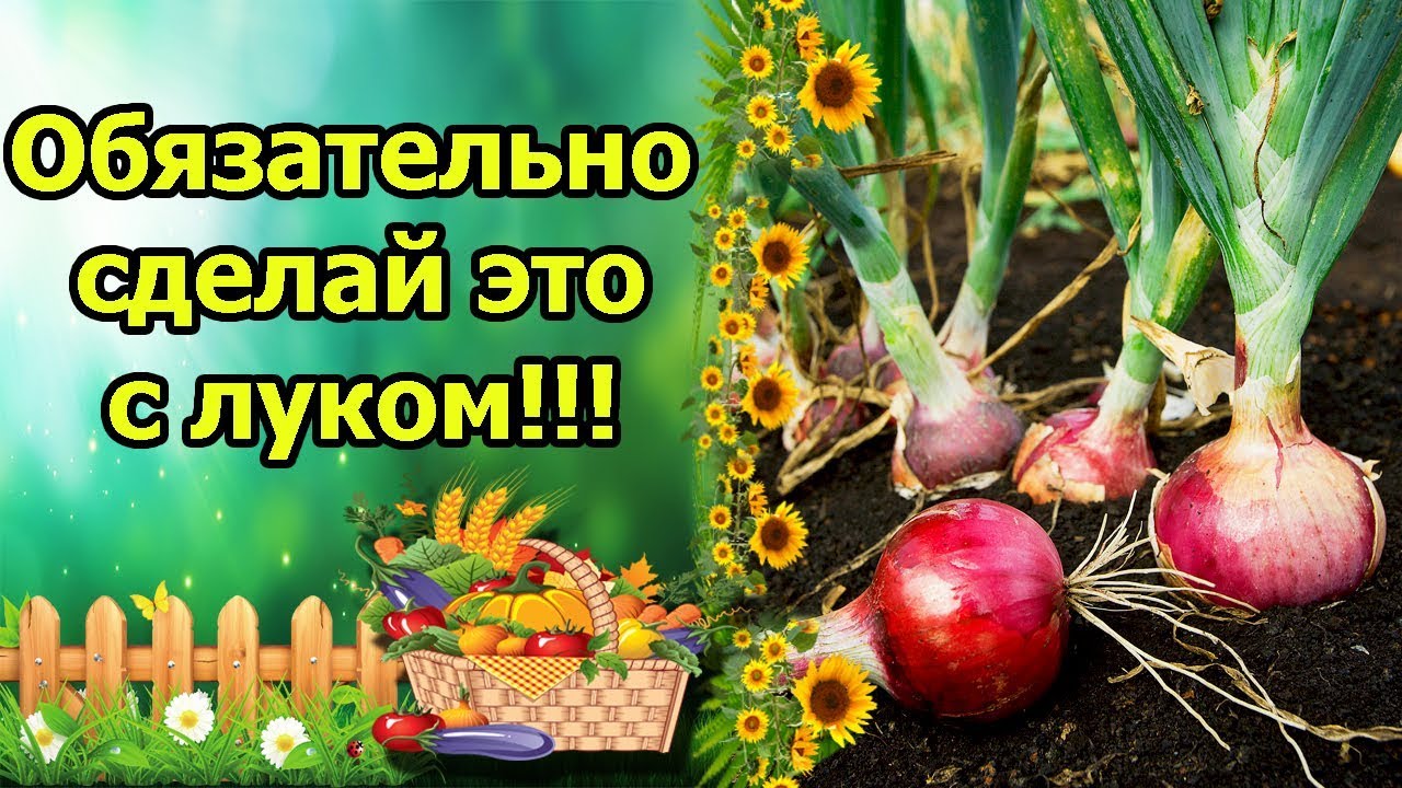 Нажмите, чтобы запустить видео