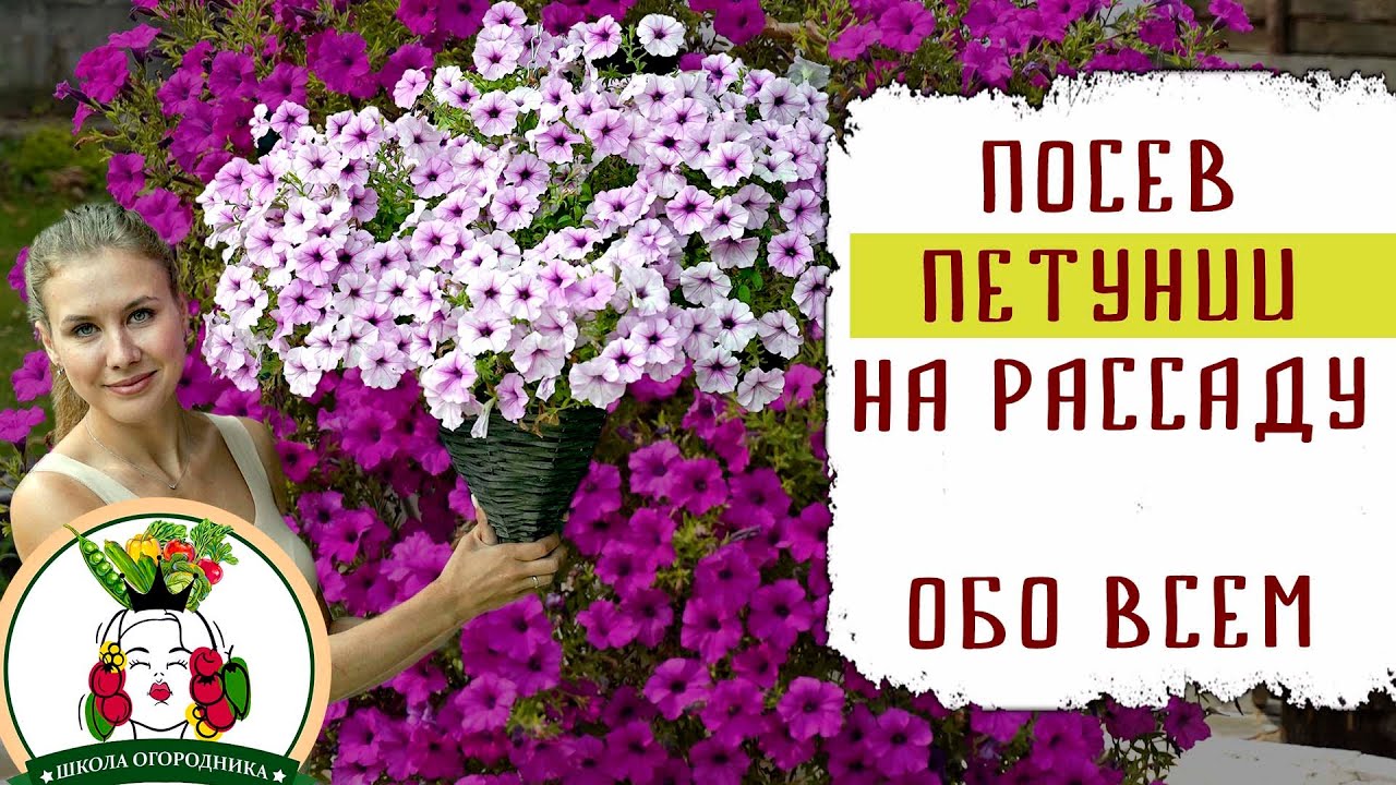 Нажмите, чтобы запустить видео