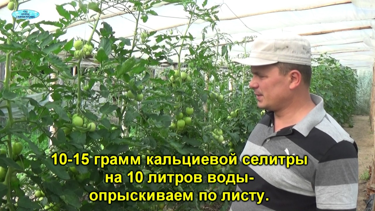 Нажмите, чтобы запустить видео