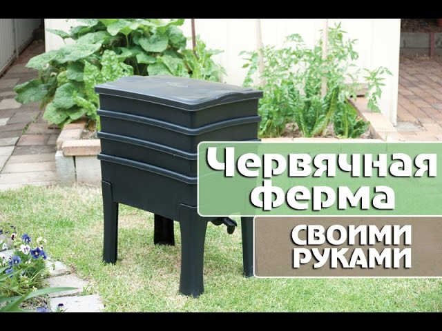 Нажмите, чтобы запустить видео