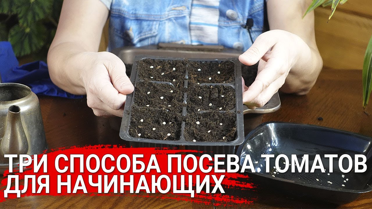 Нажмите, чтобы запустить видео