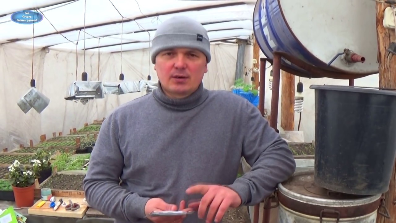 Нажмите, чтобы запустить видео