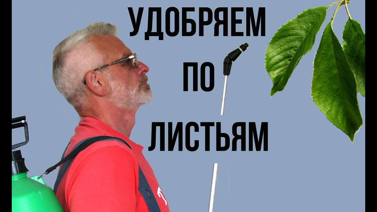 Нажмите, чтобы запустить видео