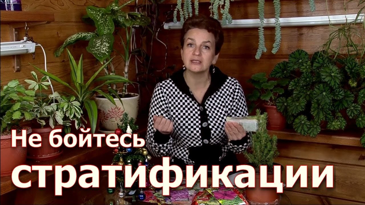 Нажмите, чтобы запустить видео