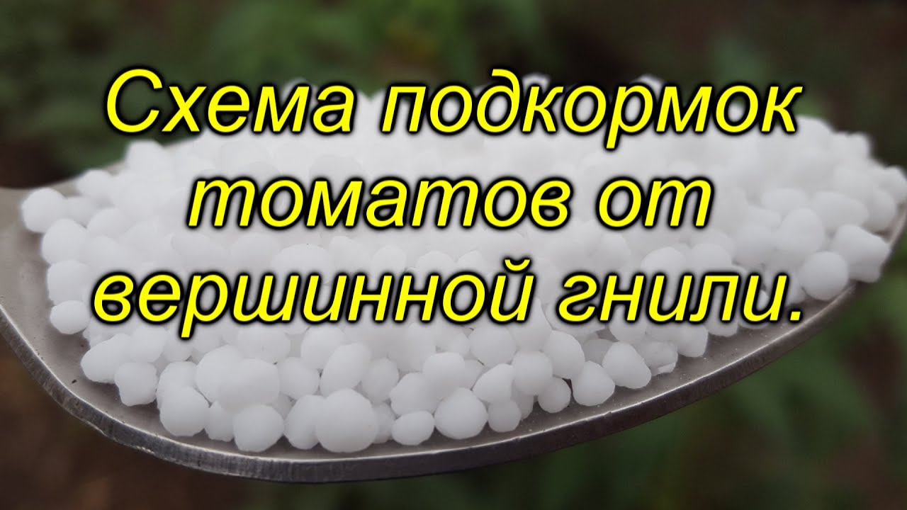 Нажмите, чтобы запустить видео