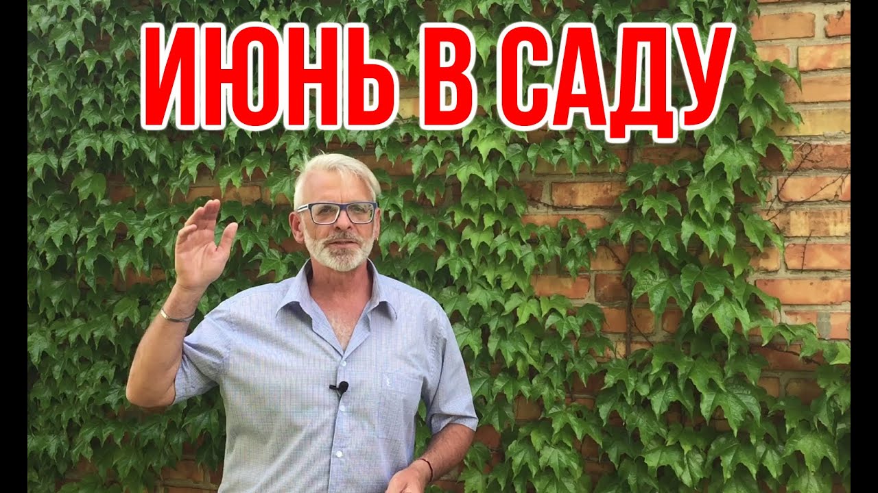 Нажмите, чтобы запустить видео