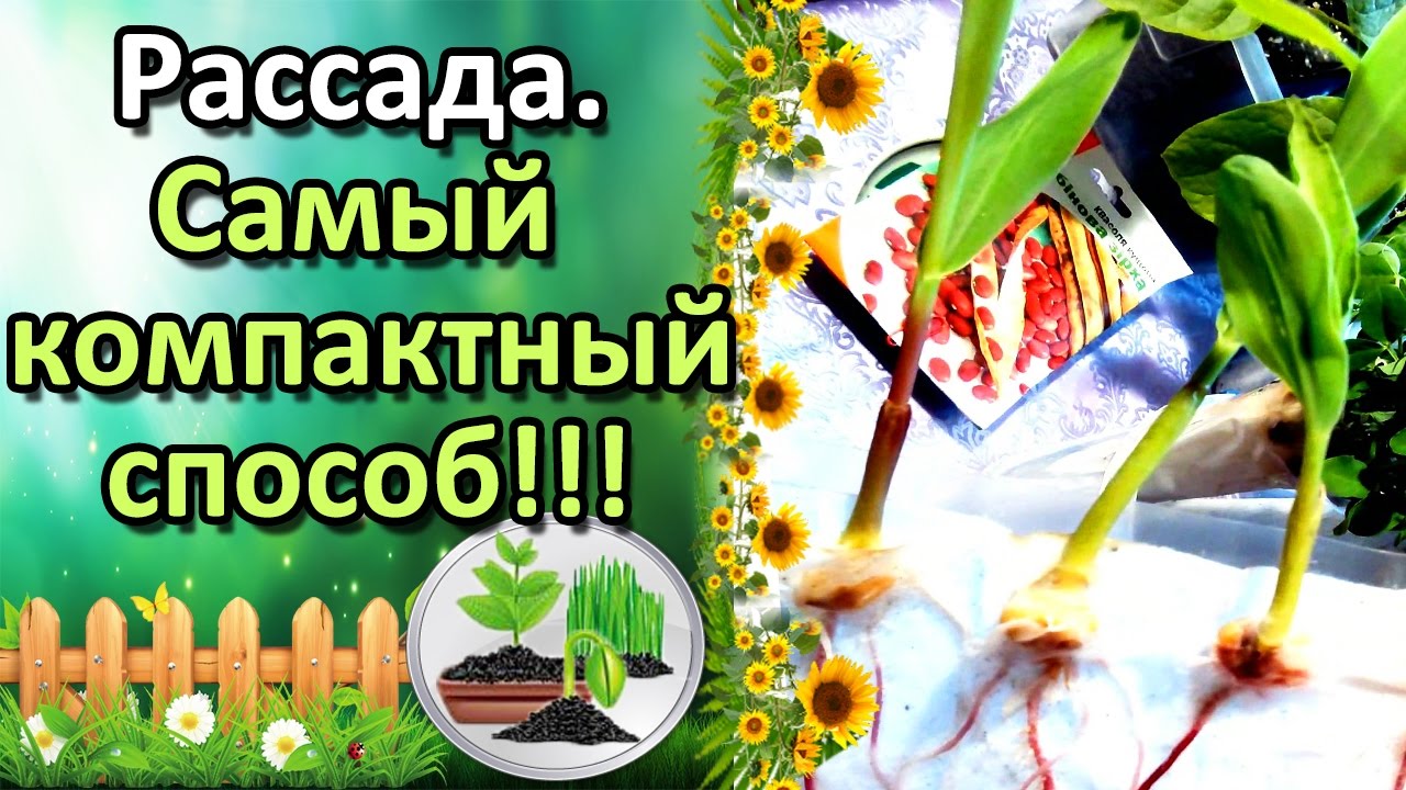 Нажмите, чтобы запустить видео