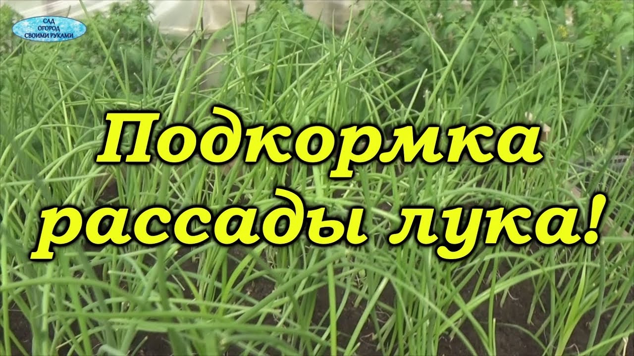 Нажмите, чтобы запустить видео