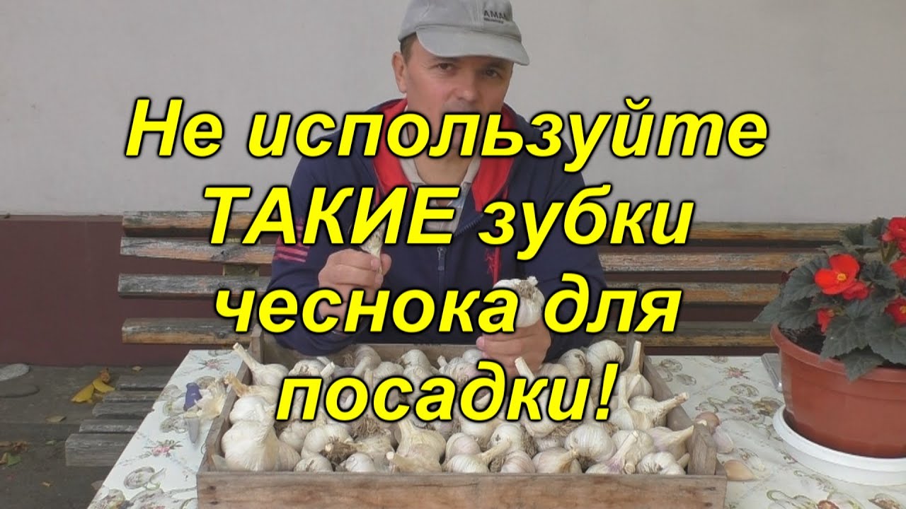 Нажмите, чтобы запустить видео
