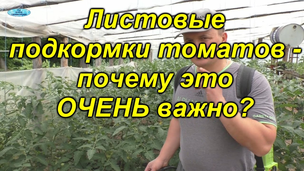 Нажмите, чтобы запустить видео