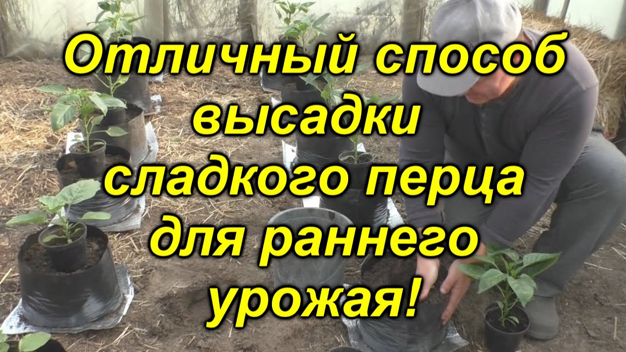 Нажмите, чтобы запустить видео