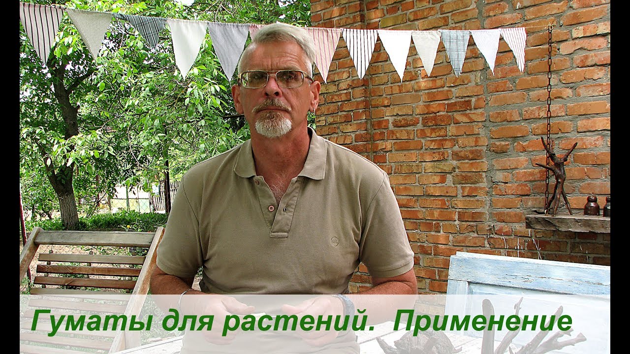 Нажмите, чтобы запустить видео