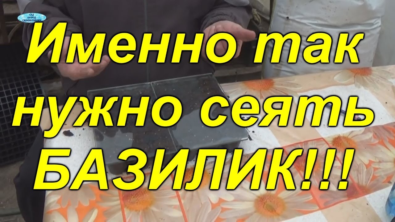 Нажмите, чтобы запустить видео