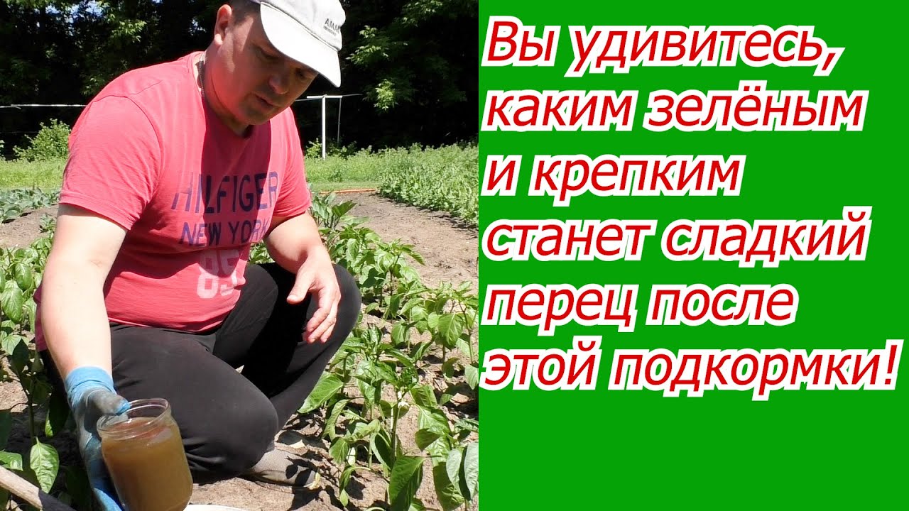 Нажмите, чтобы запустить видео
