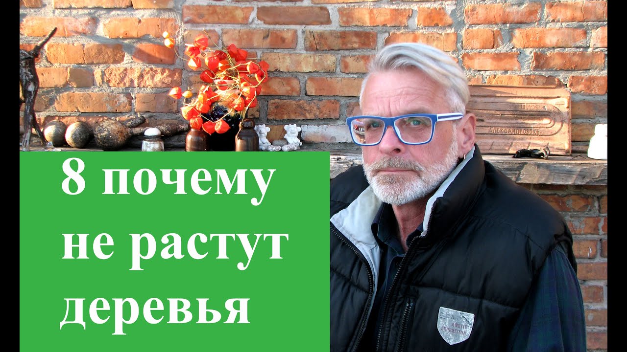 Нажмите, чтобы запустить видео