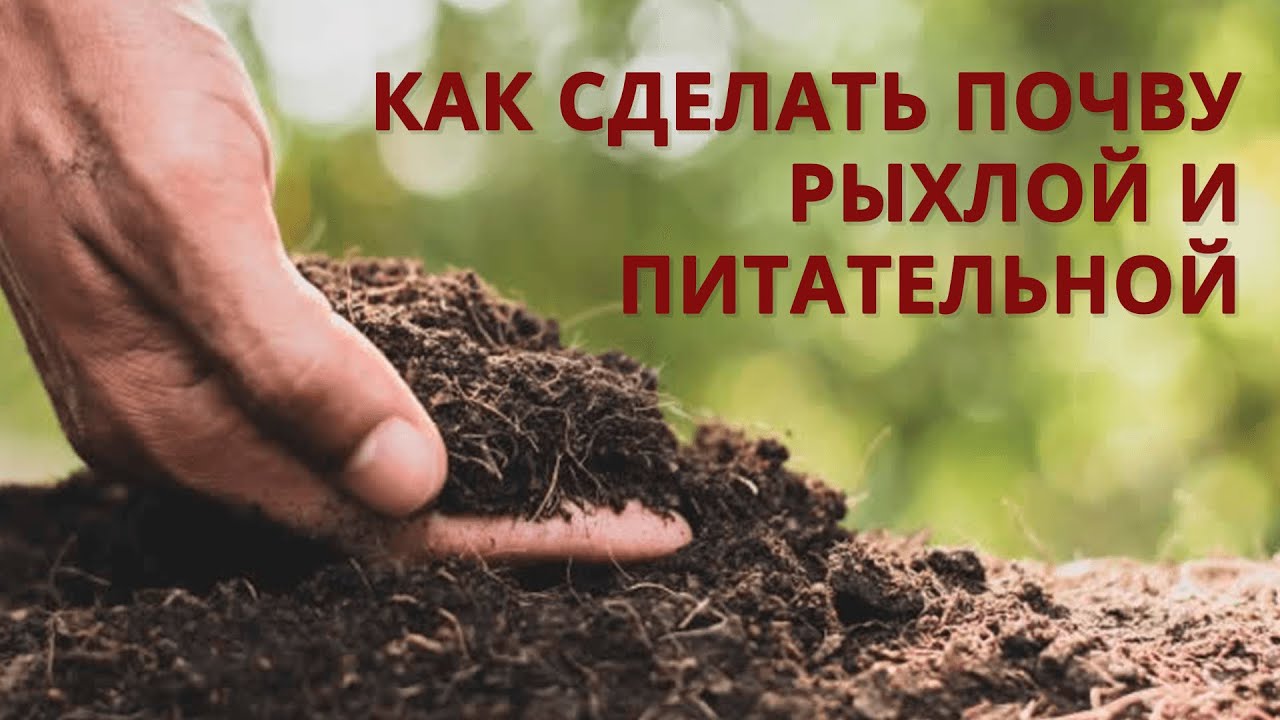 Нажмите, чтобы запустить видео