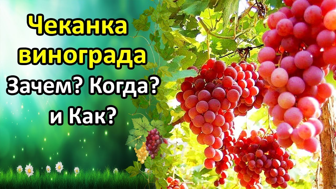 Нажмите, чтобы запустить видео