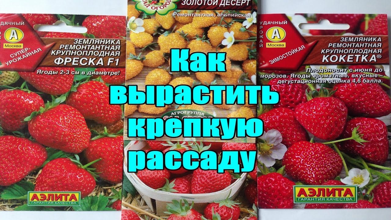 Нажмите, чтобы запустить видео