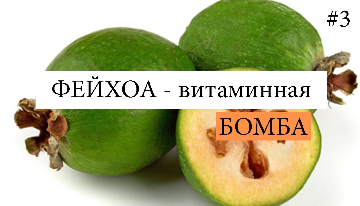 Нажмите, чтобы запустить видео