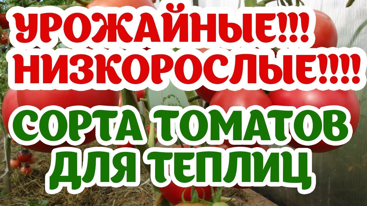 Нажмите, чтобы запустить видео