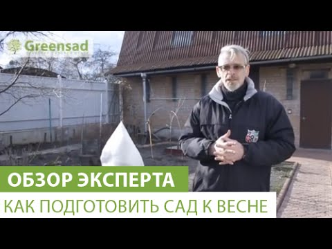 Нажмите, чтобы запустить видео
