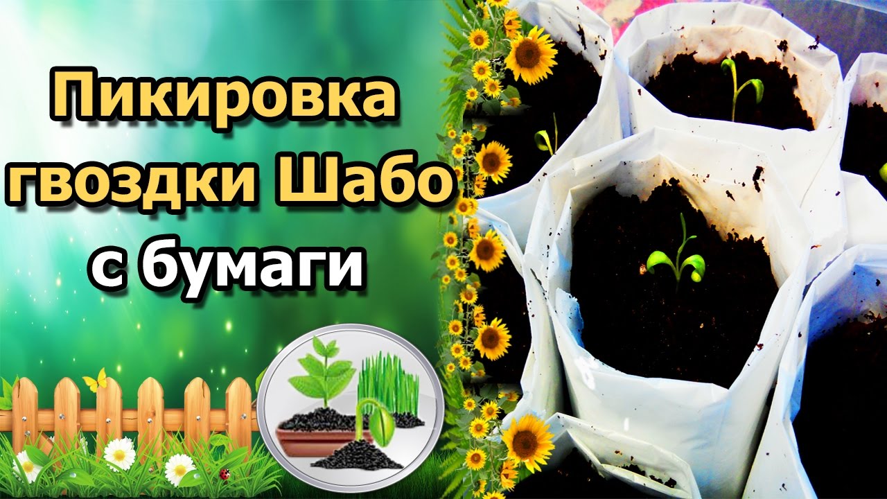 Нажмите, чтобы запустить видео