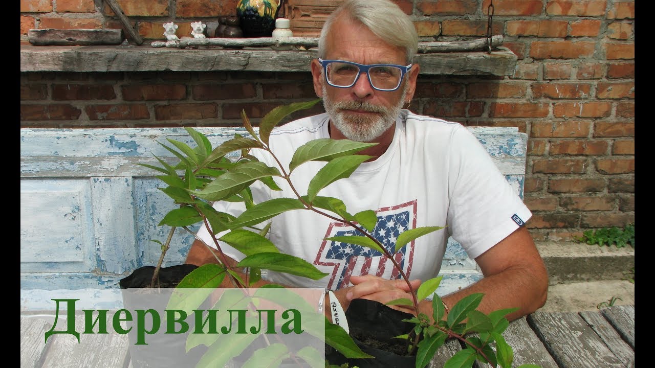 Нажмите, чтобы запустить видео