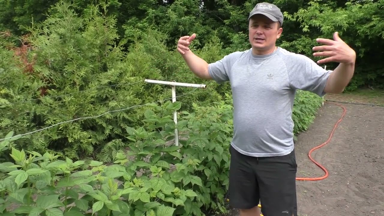 Нажмите, чтобы запустить видео