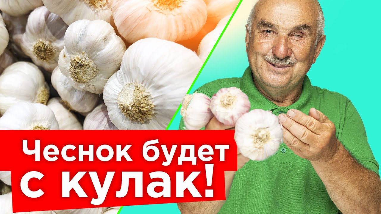 Нажмите, чтобы запустить видео