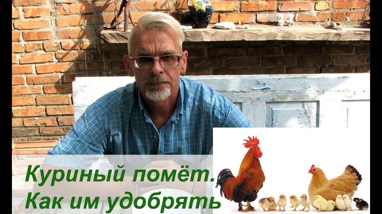 Нажмите, чтобы запустить видео