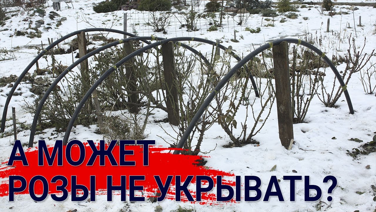 Нажмите, чтобы запустить видео