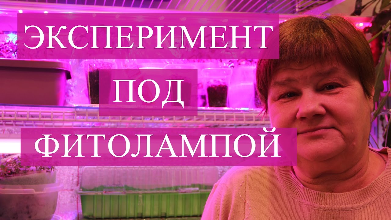 Нажмите, чтобы запустить видео