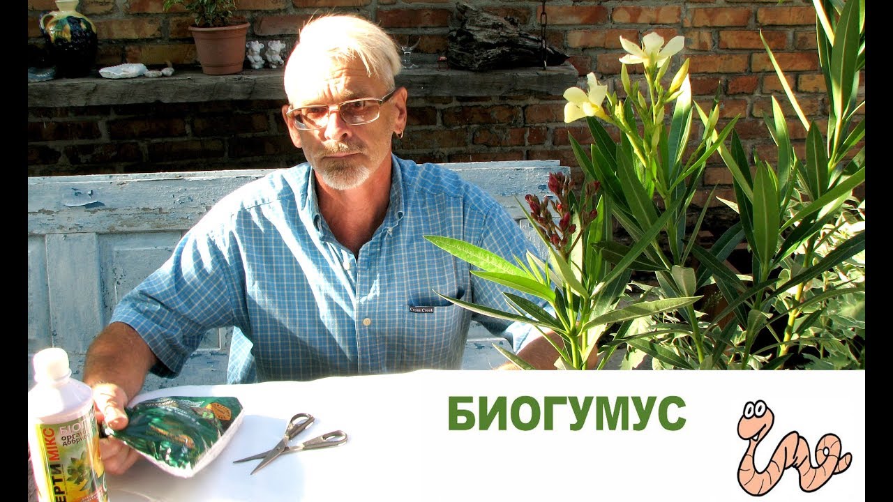 Нажмите, чтобы запустить видео