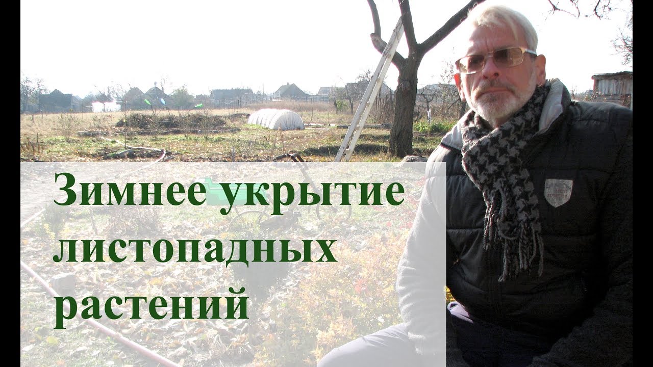 Нажмите, чтобы запустить видео