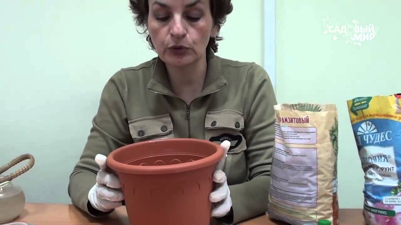Нажмите, чтобы запустить видео
