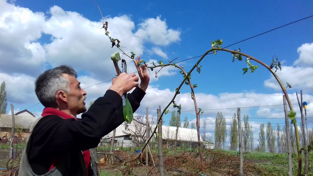 Нажмите, чтобы запустить видео