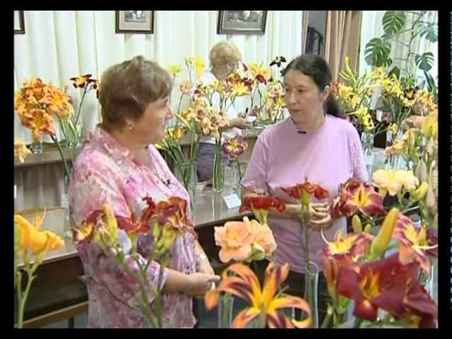 Нажмите, чтобы запустить видео
