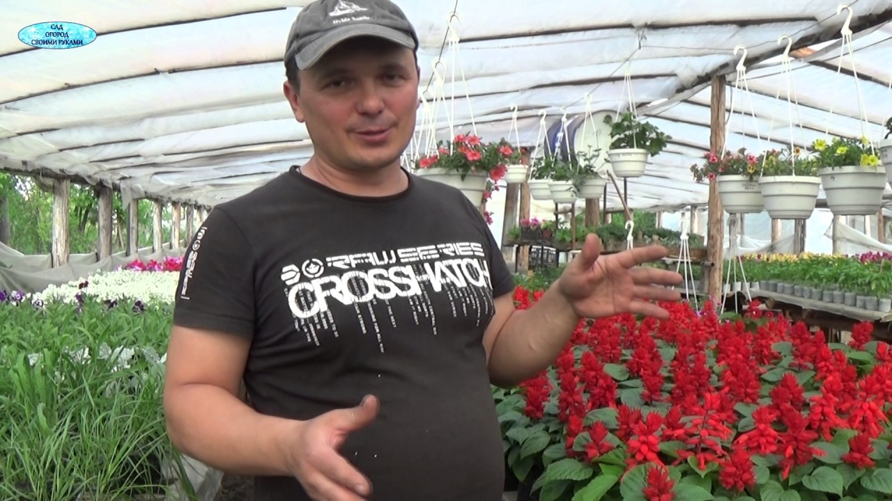 Нажмите, чтобы запустить видео