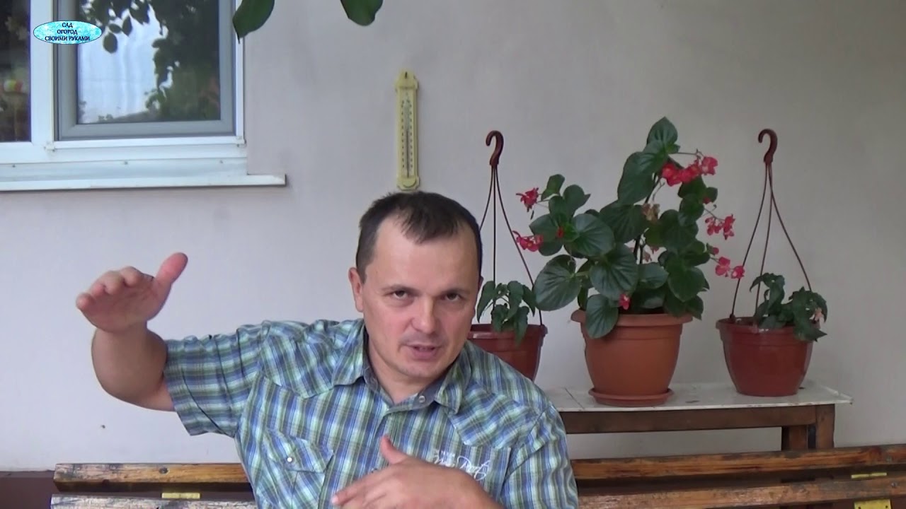 Нажмите, чтобы запустить видео