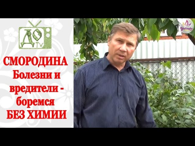 Нажмите, чтобы запустить видео