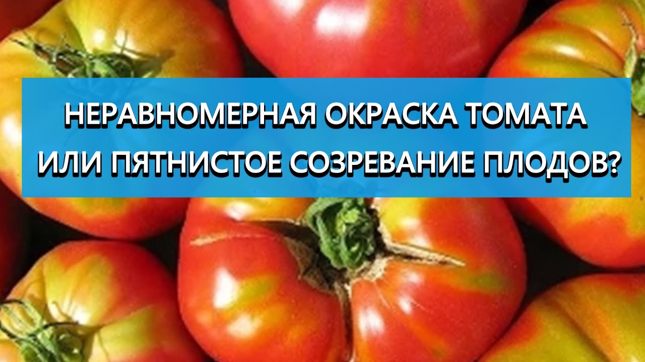 Нажмите, чтобы запустить видео