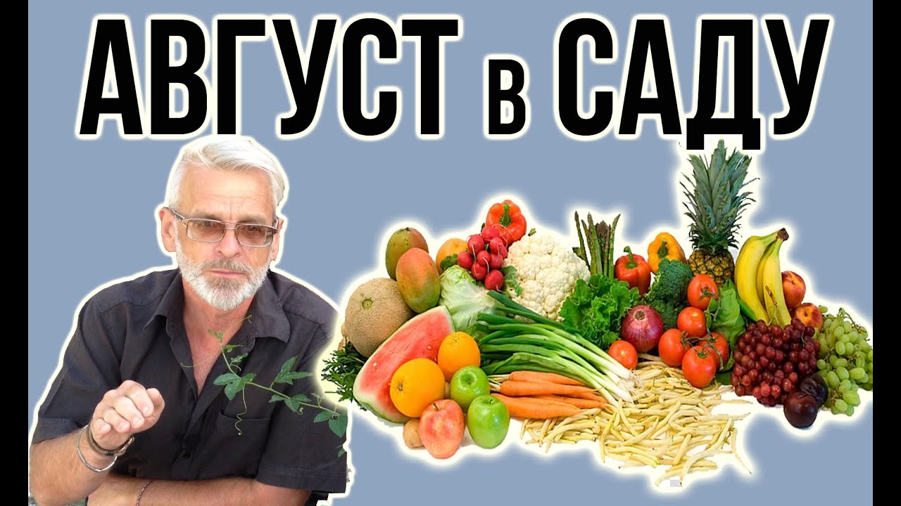 Нажмите, чтобы запустить видео
