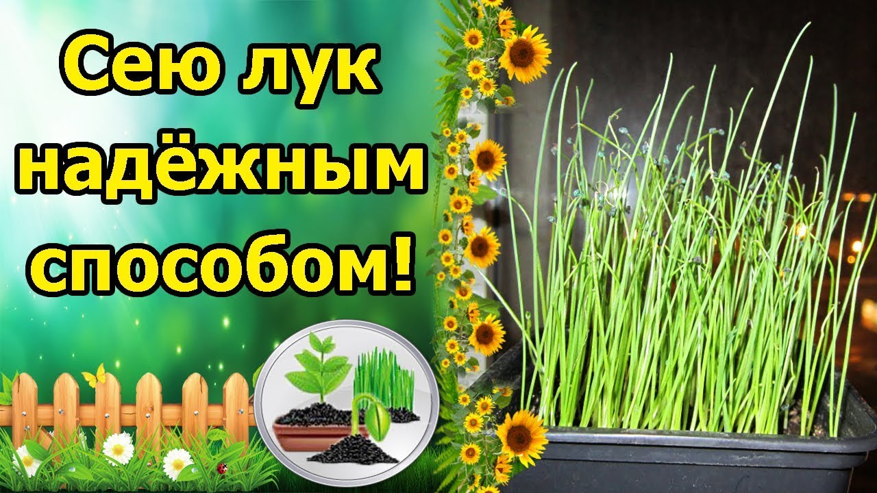 Нажмите, чтобы запустить видео