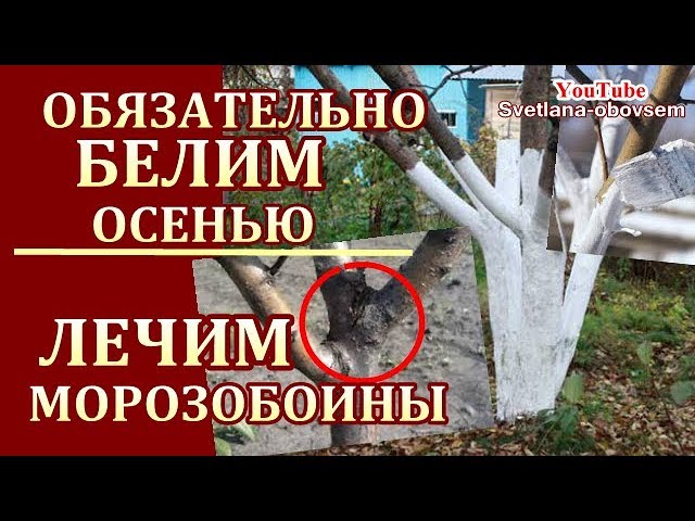 Нажмите, чтобы запустить видео