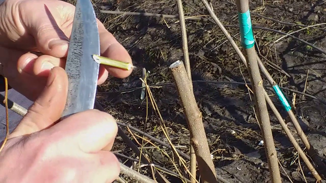 Нажмите, чтобы запустить видео