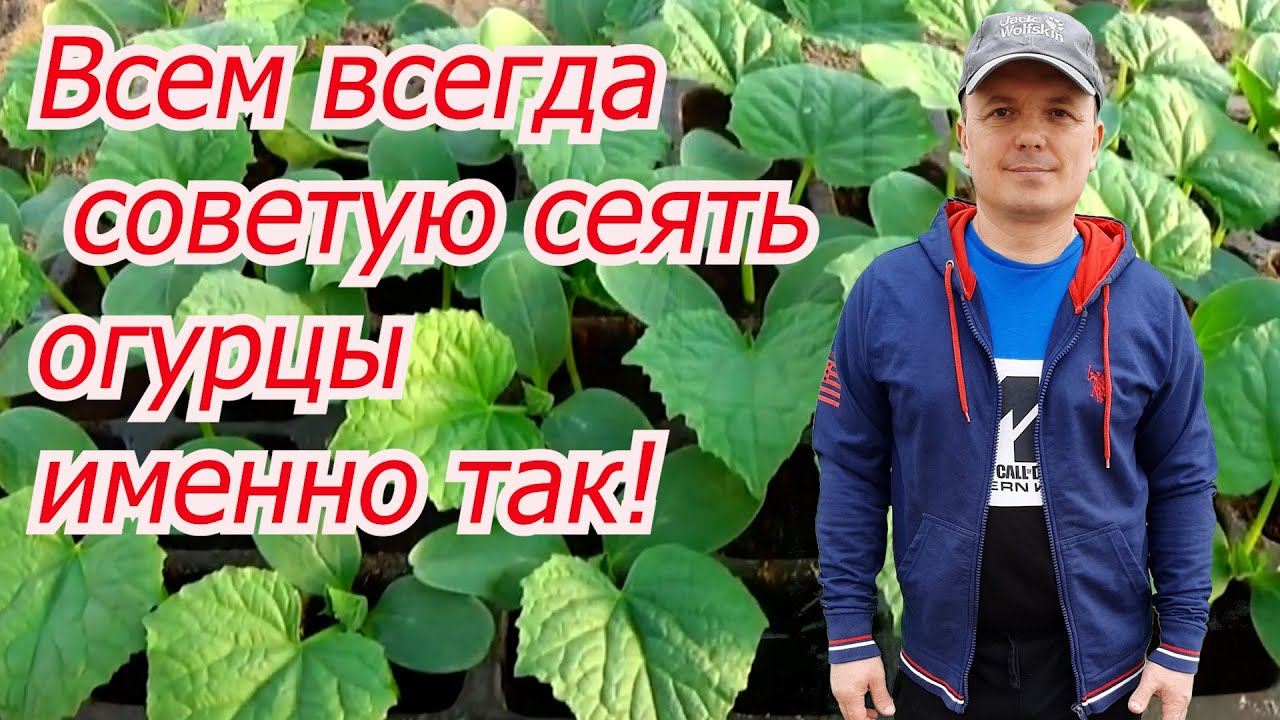 Нажмите, чтобы запустить видео