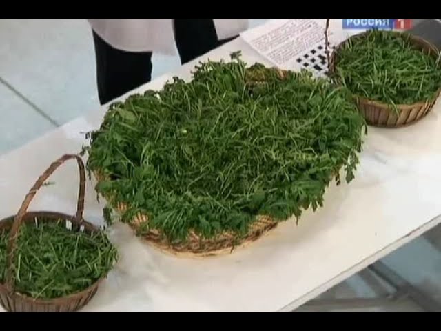 Нажмите, чтобы запустить видео