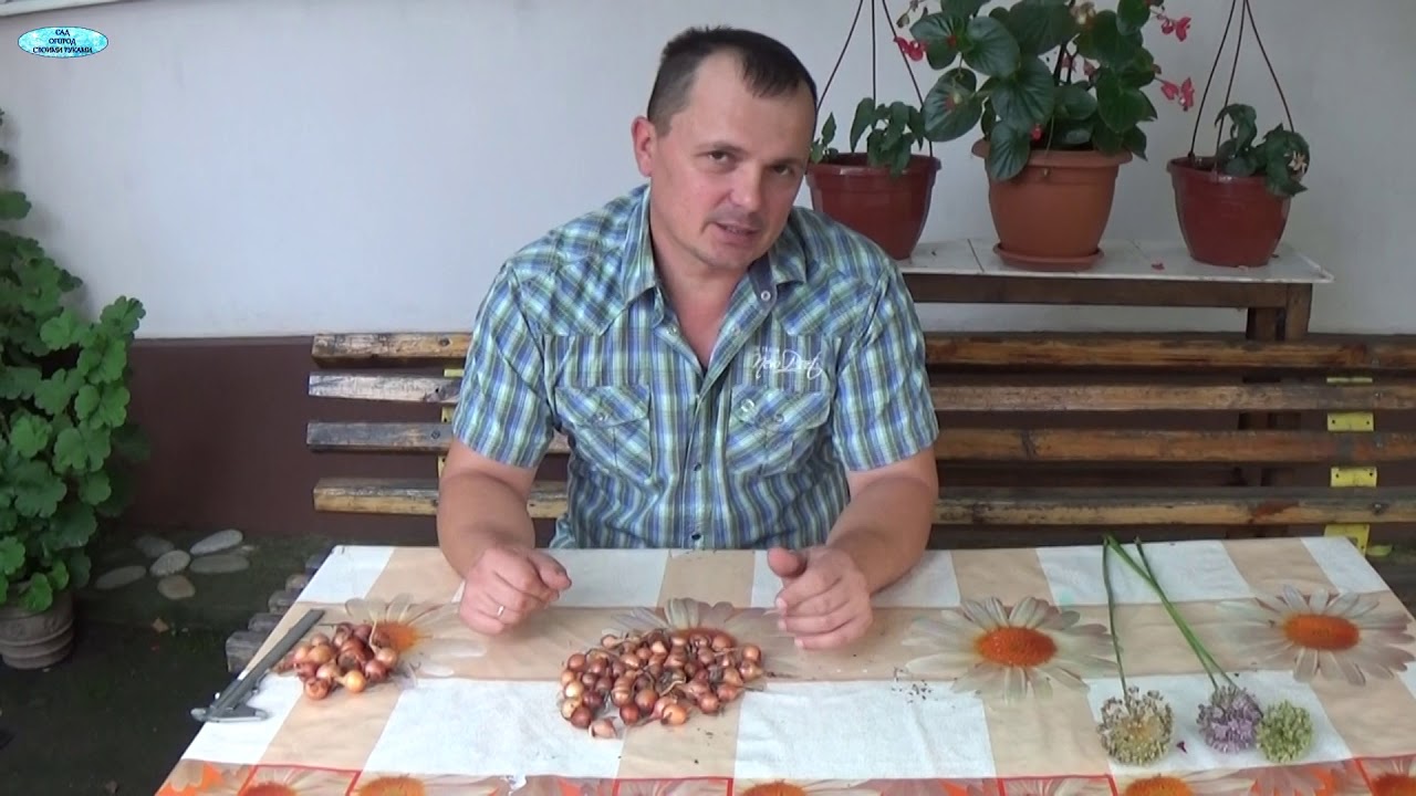 Нажмите, чтобы запустить видео