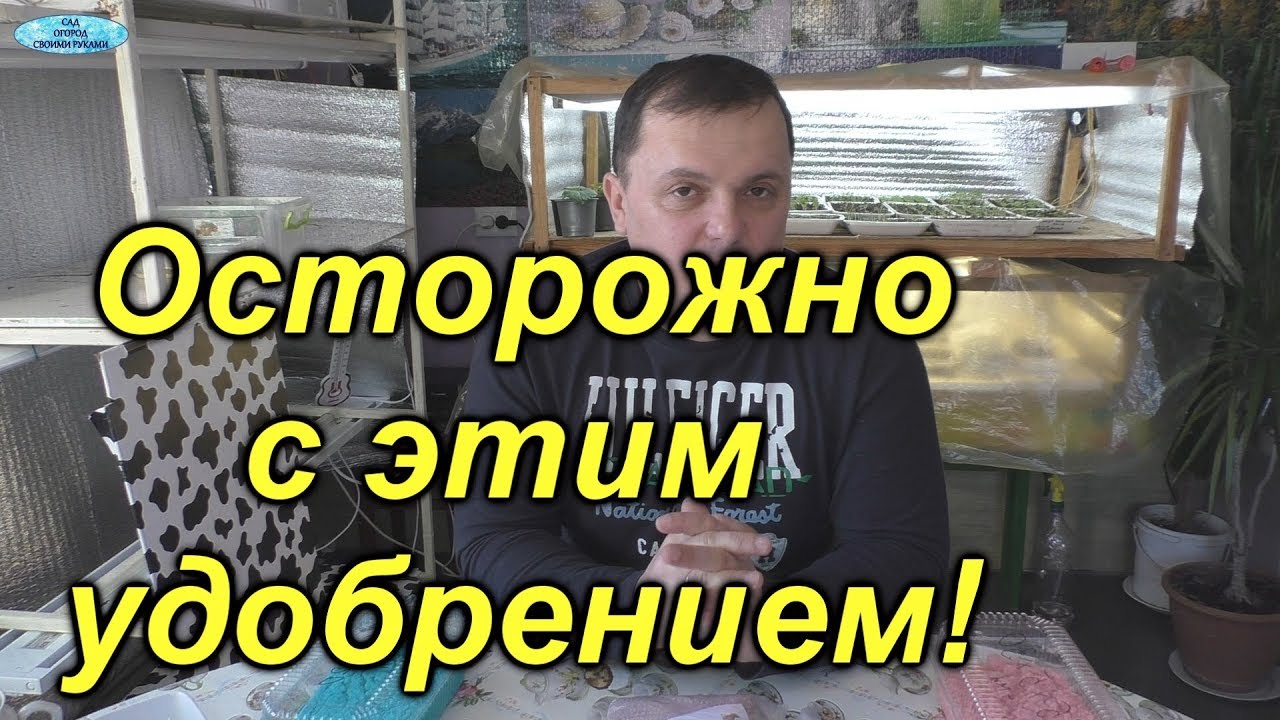 Нажмите, чтобы запустить видео