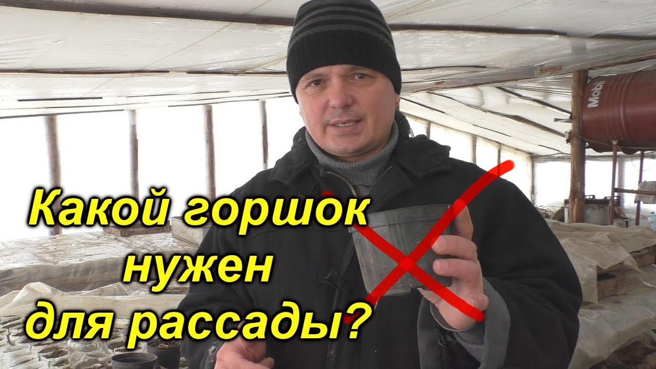 Нажмите, чтобы запустить видео